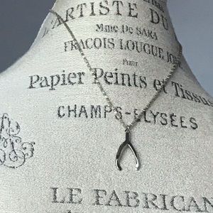 Lucky Wish Bone necklace